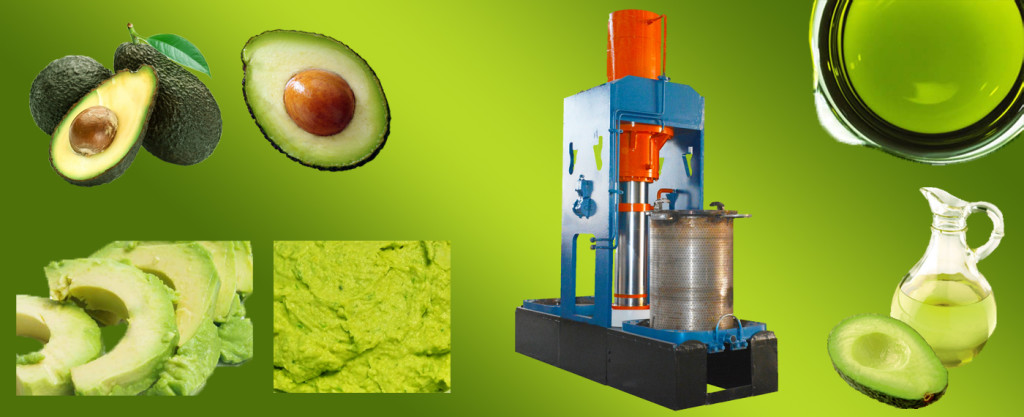 Avocado Processing Industry